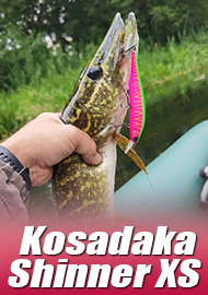 Обзор Kosadaka Shinner XS: гроза жабовников
