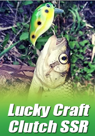 Обзор Lucky Craft Clutch SSR: воблер для трофейных голавлей.