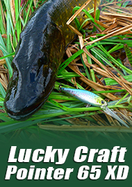 Обзор Pointer 65XD: субмарина Lucky Craft.