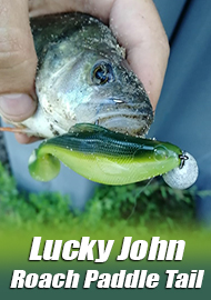 Обзор Lucky John Pro Series Roach Paddle Tail: очередная плавучка