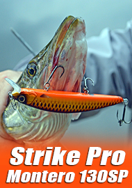 130-й разбойник от Strike Pro. Обзор Strike Pro Montero 130SP.