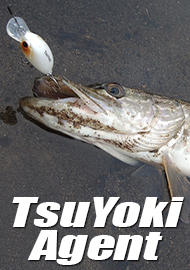Обзор: Обзор воблера TsuYoki Agent 36F: тайный агент на службе рыболова.