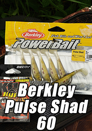 Обзор: Обзор силиконового шеда - Berkley Pulse Shad 60
