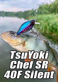 Обзор: Обзор Chef SR 40F Silent - кренк большой реки