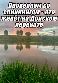 Статьи: Проверяем со спиннингом - кто живёт на Донском перекате