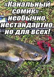 Статьи: «Канальный сомик» - необычно, нестандартно, но для всех!