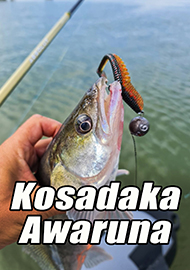 Обзор: Старое на новый лад или зачем платить больше?! Обзор Kosadaka Awaruna