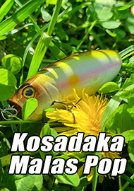 Обзор: Kosadaka Malas Pop - воблер, оправдывающий ожидания! Обзор.