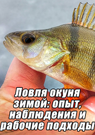 Статьи: Ловля окуня зимой: опыт, наблюдения и рабочие подходы