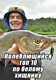 Статьи: Колеблющийся топ 10 по белому хищнику