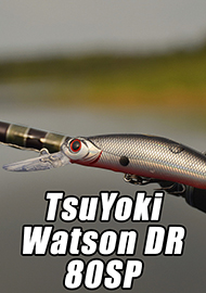 Обзор: Обзор Watson DR 80 SP - одна из лучших реплик фирмы TsuYoki