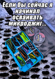 Статьи: Если бы сейчас я начинал осваивать микроджиг...