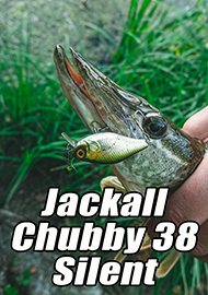 Обзор: Бесшумный убийца Jackall Chubby 38 Silent. Обзор