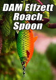 Обзор: Блесна для взрослых "девочек". Обзор DAM Effzett Roach Spoon