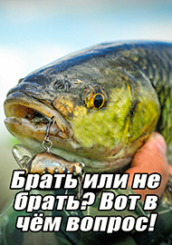 Статьи: Брать или не брать? Вот в чём вопрос!