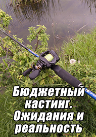 Статьи: Бюджетный кастинг. Ожидания и реальность.