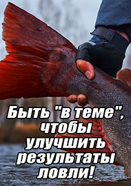 Статьи: Быть "в теме", чтобы улучшить результаты ловли!