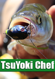 TsuYoki CHEF 38F. Рискуя в непролазной чаще, Шеф выманивал рыбу всех чаще.