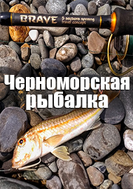 Черноморская рыбалка: полезные советы чайникам от чайника