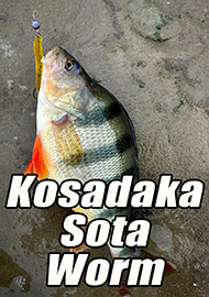 Обзор: Червяк, который западет в душу – обзор Kosadaka Sota Worm!