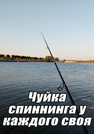 Статьи: Чуйка спиннинга у каждого своя