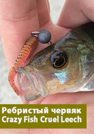 Ребристый червяк – Crazy Fish Cruel Leech 2.2. Обзор