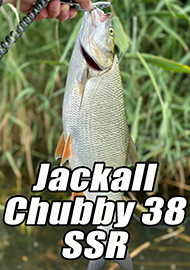 Обзор: Дайте другое «Чабло», а то старое надоело. Обзор Jackall Chubby 38 SSR