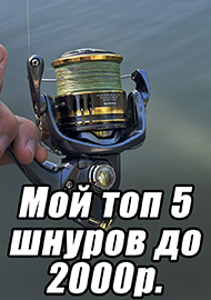 Статьи: Мой топ 5 шнуров до 2000 рублей.