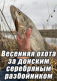 Статьи: Весенняя охота за донским серебряным разбойником
