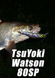 Обзор: Фавориты. А теперь горбатый. Обзор TsuYoki Watson 80SP.