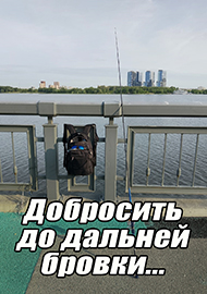 Статьи: Добросить до дальней бровки...