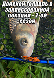 Статьи: Донской голавль в запрессованной локации - 2-ой сезон