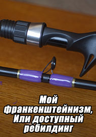 Статьи: Мой франкенштейнизм, Или доступный ребилдинг