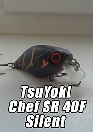 Обзор: Фавориты. Два часа отчаяния. Обзор TsuYoki Chef SR 40F Silent.