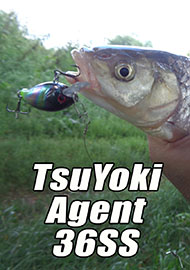 Обзор: Фавориты. Лучший кренк у TsuYoki. Обзор TsuYoki Agent 36SS.