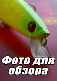 Статьи: фото для обзора