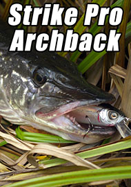 Обзор: Гадкий утенок или эффективный охотник? Обзор воблера Strike Pro Archback 100 SP