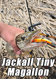 Обзор: Гены пальцем не сотрешь. Или младший из «Магаллонов».Обзор Jackall Tiny Magallon