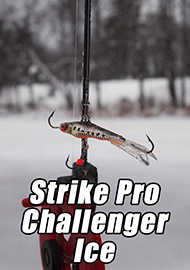 Обзор: Обзор балансира фирмы Strike Pro - Challenger Ice 30