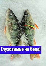 Секреты рыболовного мастерства: Глухозимье – не беда!!!