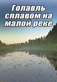 Статьи: Голавль сплавом на малой реке