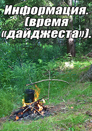 Статьи: Информация. (время «дайджеста»).