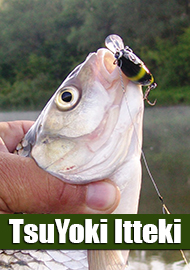 Обзор TsuYoki ITTEKI 37F – бесценная капля успеха.