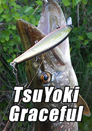 Обзор: Изящно и элегантно! Обзор TsuYoki Graceful.