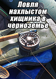 Статьи: Ловля нахлыстом хищника в черноземье!