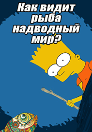 Статьи: Как видит рыба надводный мир? Значимость зрения в условиях малых рек.