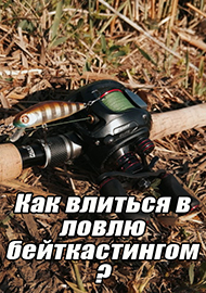 Статьи: Как влиться в ловлю бейткастингом?