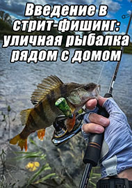 Статьи: Введение в стрит-фишинг: уличная рыбалка рядом с домом