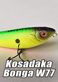 Обзор: Kosadaka Bonga W77. Обзор уокера.