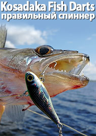 Kosadaka Fish Darts - правильный спиннер. Обзор